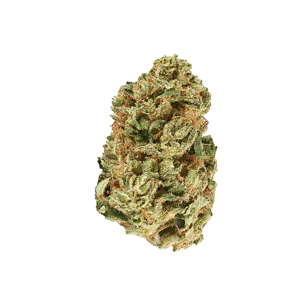 Golden Goat